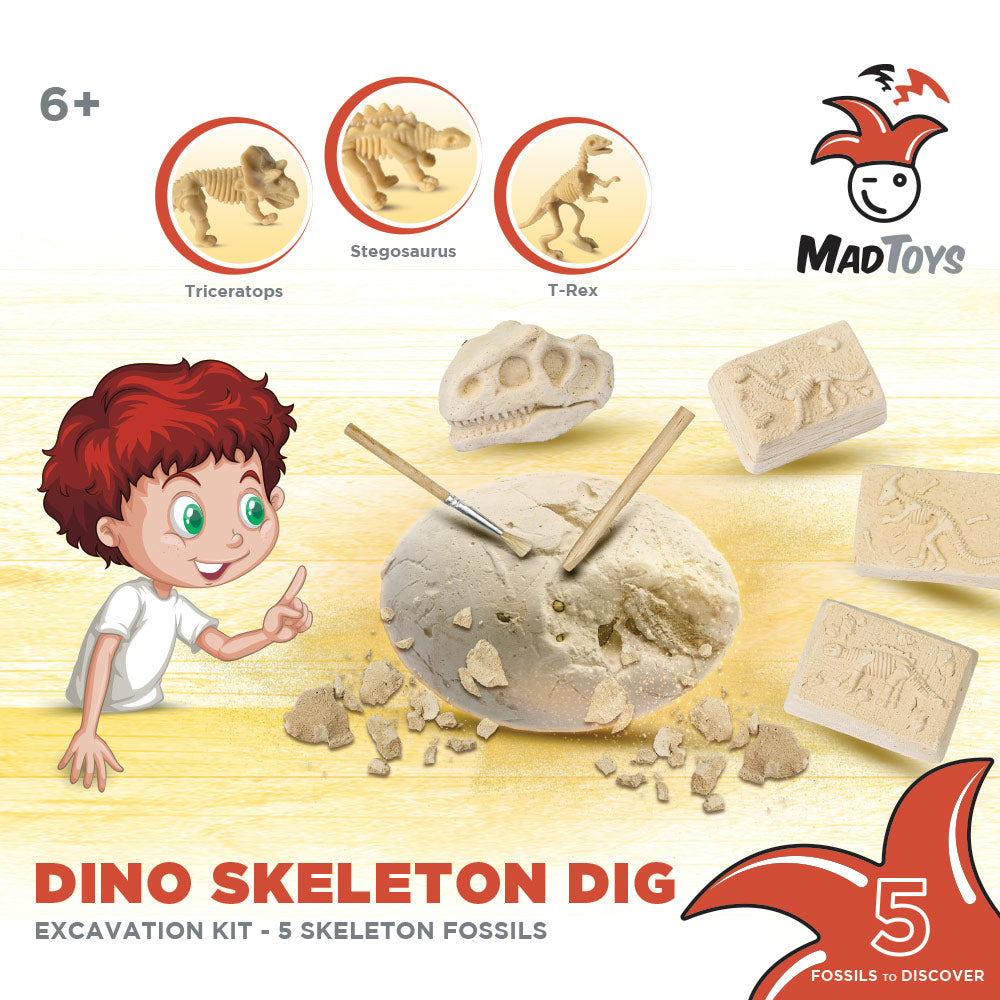 Mad Toys Dinosaur 5 Skeleton Fossils Dig Excavation Science Kit